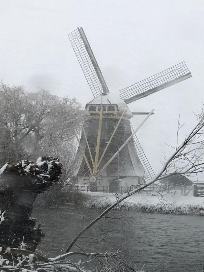 Mondriaanmolen, a real Windmill close to Amsterdam Abcoude Exterior foto